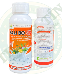 KALI BO SỮA 500ML
