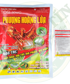 phượng hoàng lửa 100g