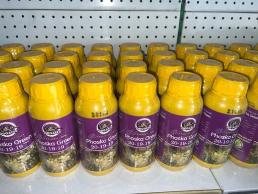 Phoska Green (20-19-19) 500 ml - Hình ảnh 2