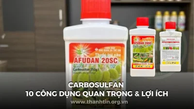 Carbosulfan – 10 Công Dụng Quan Trọng & Lợi Ích – Thành Tín