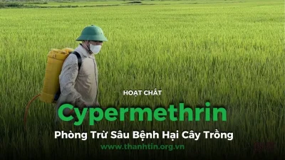Cypermethrin: Hoạt Chất Tiên Tiến Trong Phòng Trừ Sâu Bệnh Hại Cây Trồng