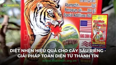 Diệt Nhện – 7 Cách Hiệu Quả Bảo Vệ Cây Sầu Riêng | Thành Tín